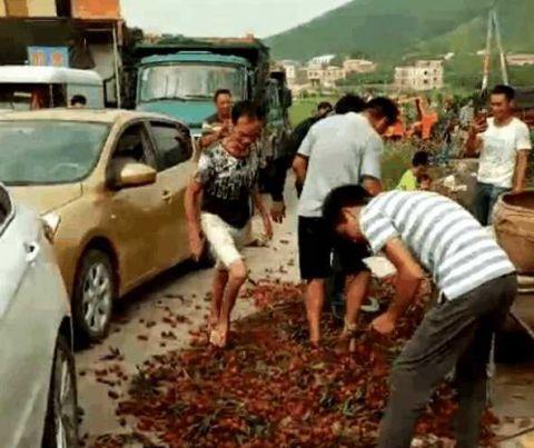 广西荔枝滞销5毛一斤没人要 果农一气之下当场踩烂